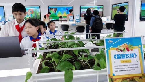 445544.com，探索数字时代的无限可能-第3张图片