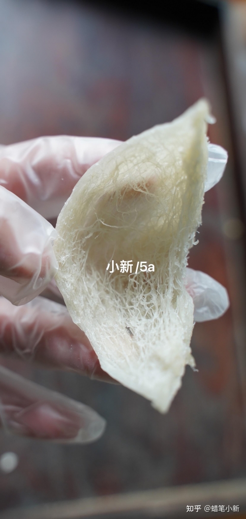 金丝燕初次做的窝我们把它叫做什么燕窝金丝燕初次做的窝——大自然的奇迹-第1张图片