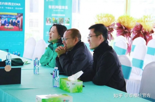 六合网投，投资新时代的探索与机遇-第2张图片