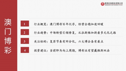 新澳门精准资料期期精准新澳门精准资料期期精准，透视澳门未来的发展