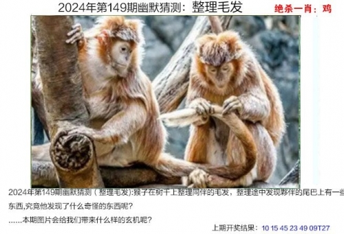 2024澳门天天开好彩大全杀码2024澳门天天开好彩大全杀码揭秘-第2张图片