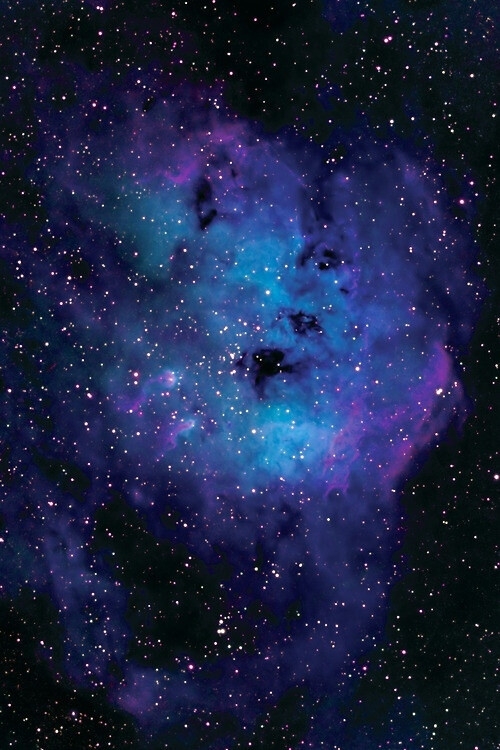 星云之战，星辰之下的英勇传奇