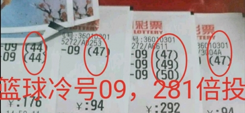 七位数开奖结果查询七位数开奖结果查询-第2张图片