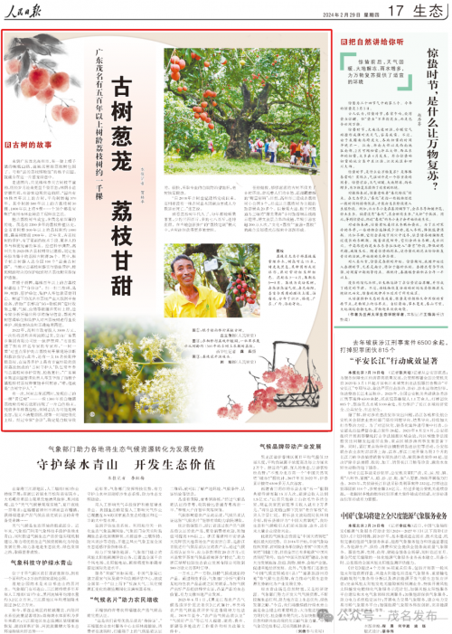 2024新浪正版免费资料2024新浪正版免费资料大放送-第1张图片