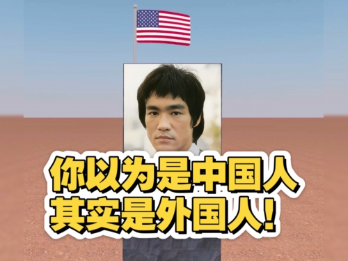 华人城防屏蔽图片-第2张图片