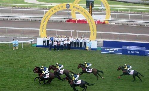 香港马会开将结果直播香港马会开将结果直播-第2张图片