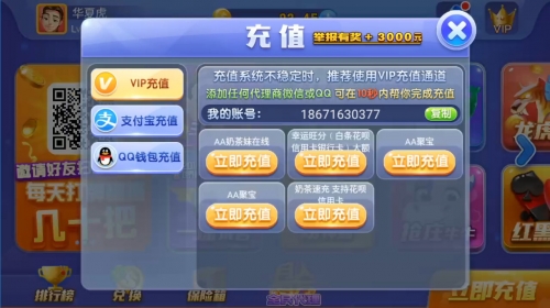 百家乐论坛，探索网络赌博的秘密世界