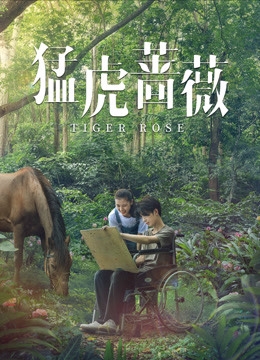 四虎影视与澳门皇冠-第2张图片