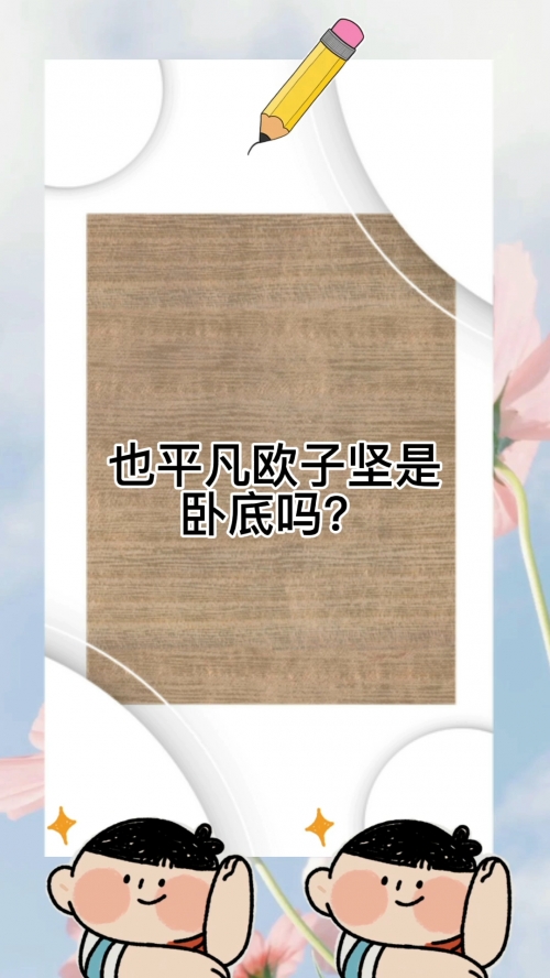 也平凡在哪个APP也平凡在哪个APP？探索便捷的阅读体验