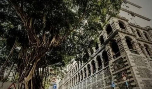 香港风水师预言2021年，风云变幻中的神秘力量-第1张图片