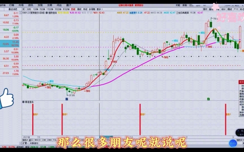 澳门一肖一码准确率高达100%——香港探秘-第3张图片