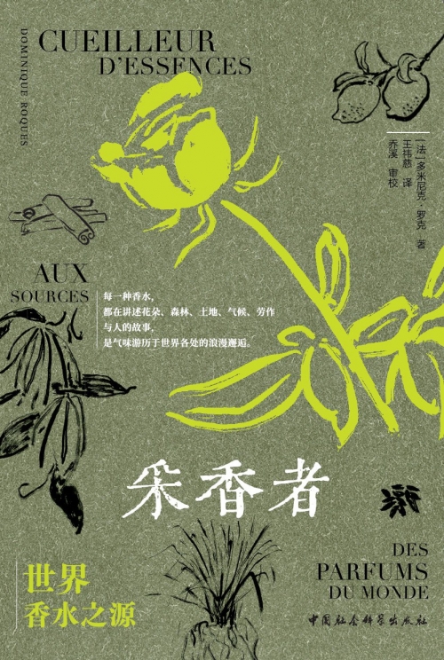 大本营的秘密花园-第2张图片