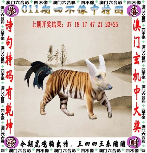 四肖八码期期中特精选资料的特点与适用人群四肖八码期特精选资料