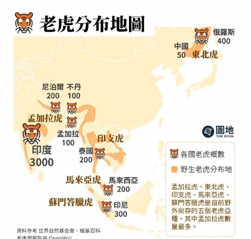 老虎图片老虎图片，大自然的王者-第1张图片