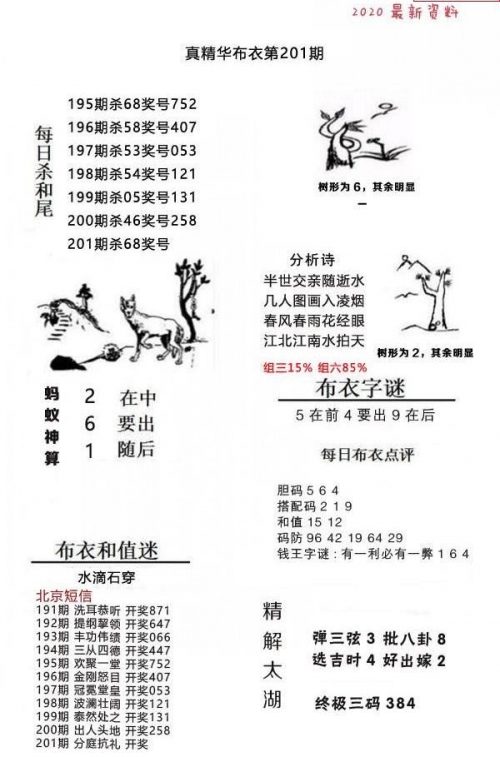 彩迷网福彩3d彩迷网，彩迷的乐园-第1张图片