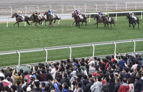 香港开马开奖现场直播下载香港开马开奖现场直播下载-第2张图片