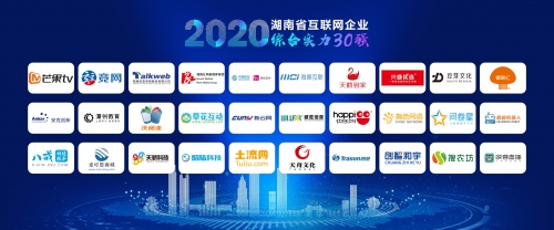 金鹰网站SD卡下载金鹰网站，引领网络新潮流-第3张图片