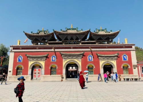 玛雅最新网站，探索神秘文化的瑰宝