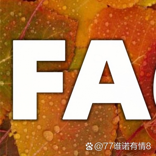 小77最新地址揭晓