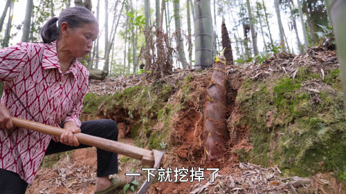 笔头菜是什么菜笔头菜，美味与健康的完美结合-第2张图片