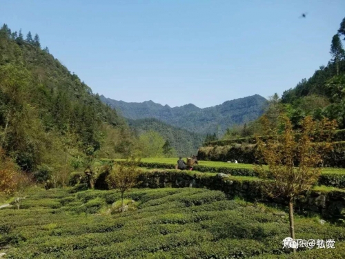 1000块钱能去哪旅游1000块钱旅游攻略