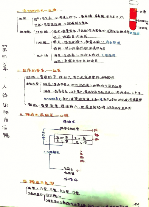 进化与演进的探索