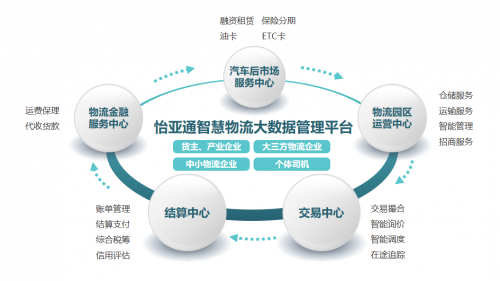 金顺网络，引领数字化新时代