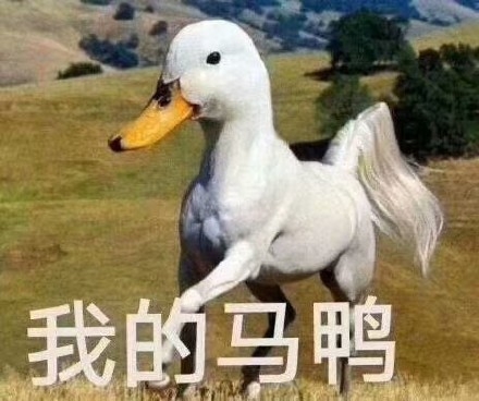 富婆点特图，奢华生活背后的秘密-第3张图片