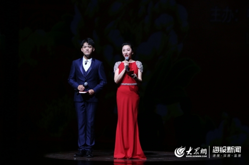 半岛影音，视听盛宴的魅力