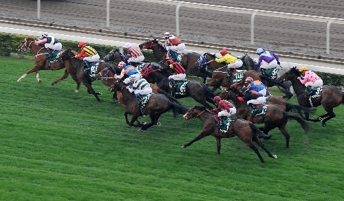 香港赛马会排位表资料贴士指数香港赛马会排位，赛马运动的荣耀与挑战-第2张图片
