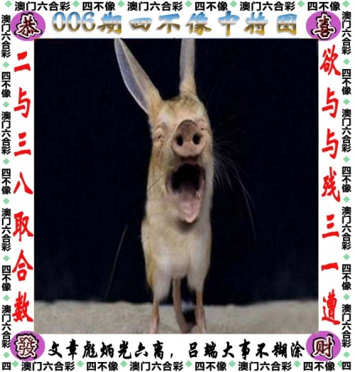 今晚上澳门特马必中一肖