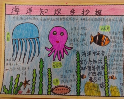 2022澳门正版资料全年免费公开，探索无限知识海洋