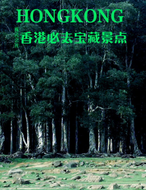 2021年香港正版免费大全-第1张图片