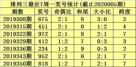 二肖3码，彩票投注的智慧与策略-第2张图片