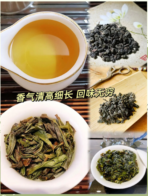 白芽奇兰，兰花中的珍品