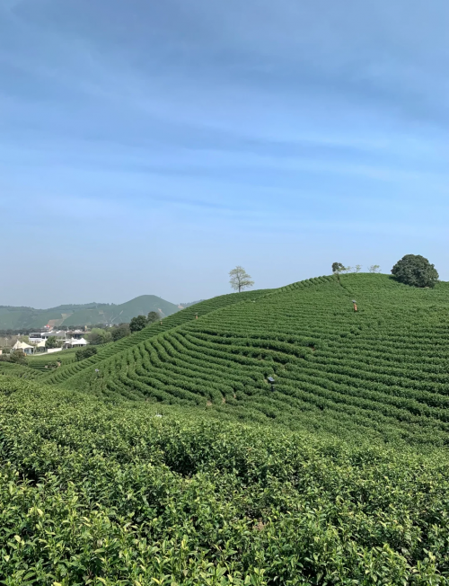 栖兰小筑，诗意栖居的理想之地