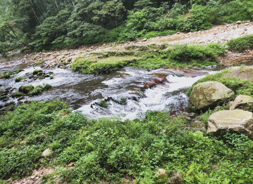 北京到张家界旅游攻略