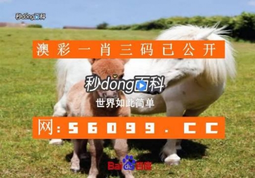 澳门一码一特一中准选今晚今晚澳门2023最准资料，探寻市场趋势与投资机会-第2张图片
