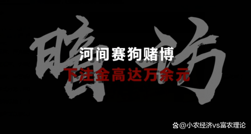 葡京赌侠，一场赌局的传奇故事-第2张图片