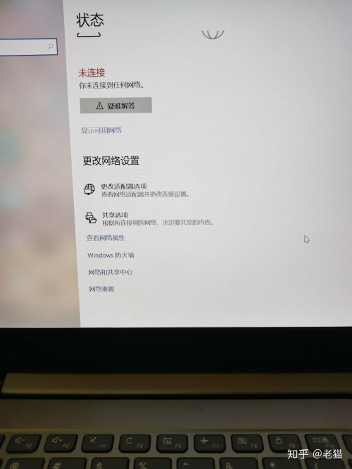 东东网，网络生活的新窗口-第1张图片