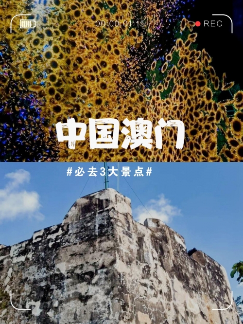 澳门haobc.vip澳门之旅，探索Haobc.vip的神秘世界