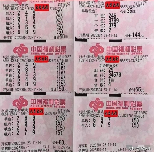 三D开奖号今天的热点文章