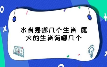 丢三落四是什么生肖-第2张图片