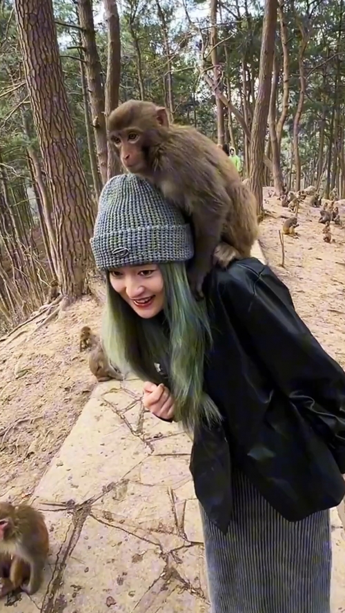 猴哥老婆个人简历猴哥老婆个人简历