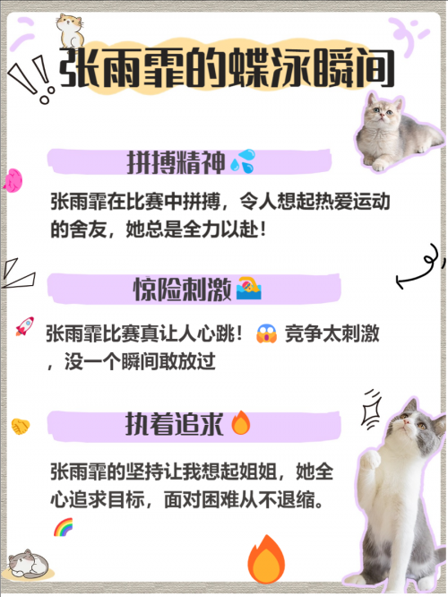 全运彩，体育盛宴中的神秘魅力