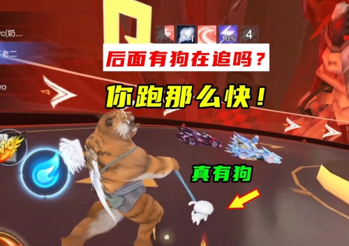 跑狗网跑狗网，引领宠物健康与训练的新潮流-第1张图片