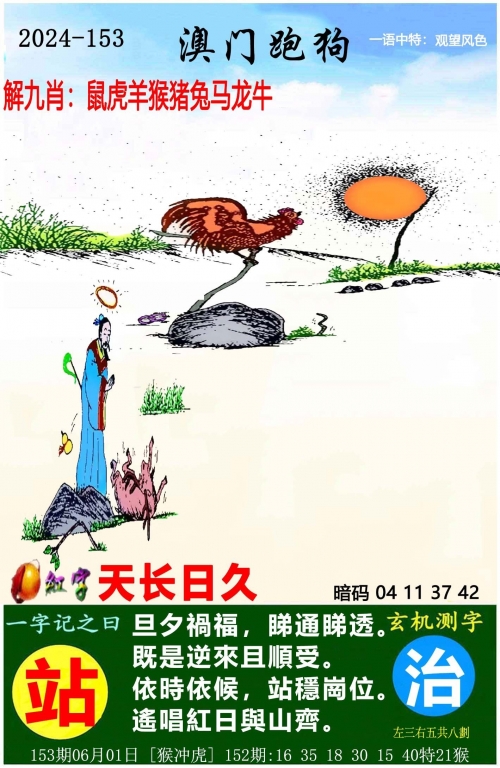 管家婆一肖一码必中一肖管家婆一肖一码必中一肖，彩票预测与策略