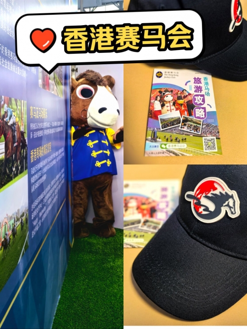 香港赛马会资料大全料大全香港马赛马会最准资料