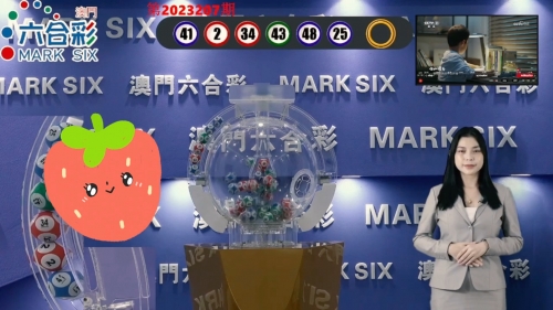 626969澳门资料大全版-第2张图片