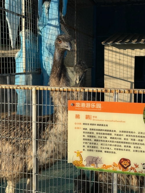 港龙假期，畅享海滨度假之旅-第3张图片
